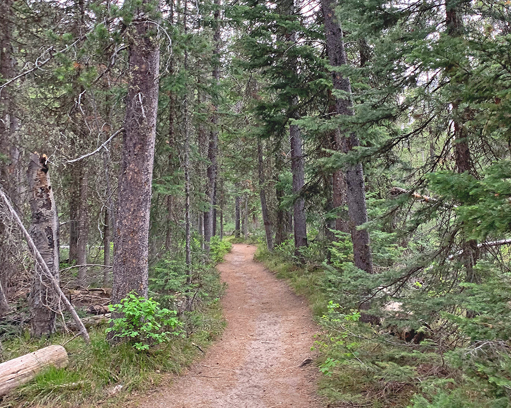 Leigh Lake Trail 