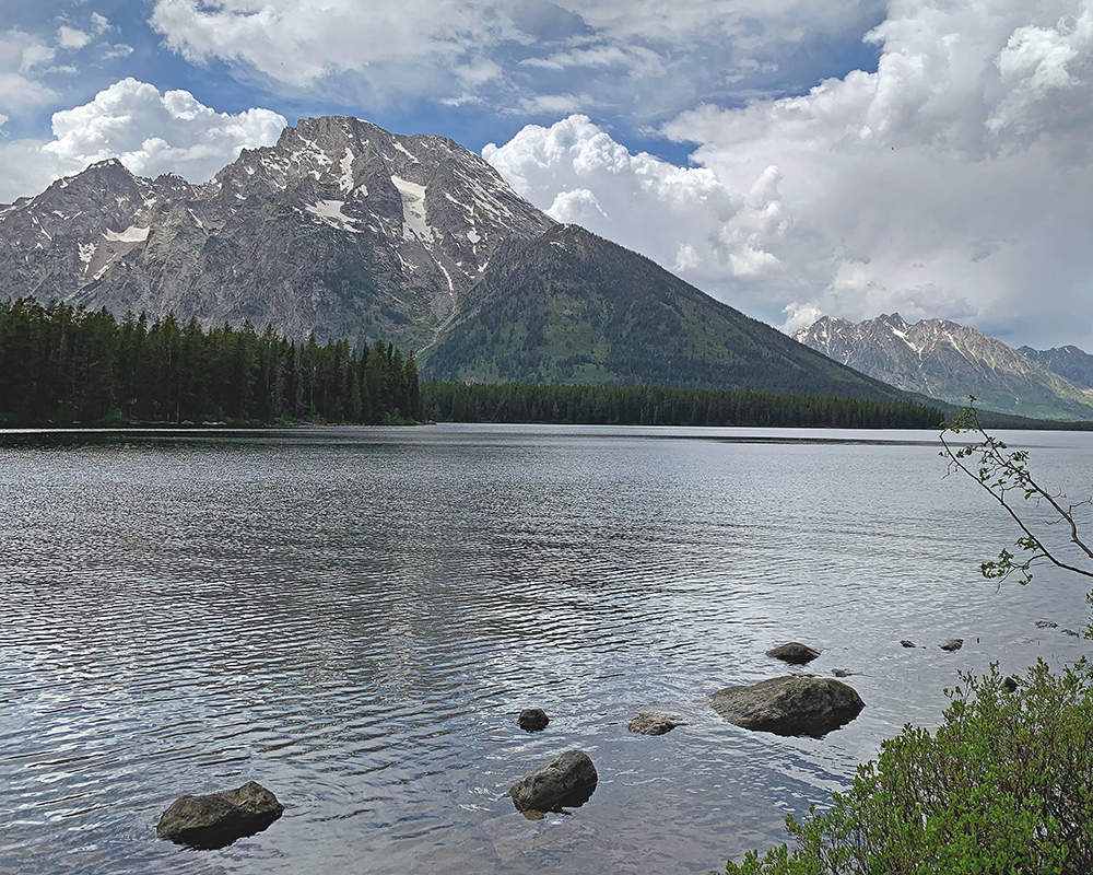 Looking North along Leigh Lake 