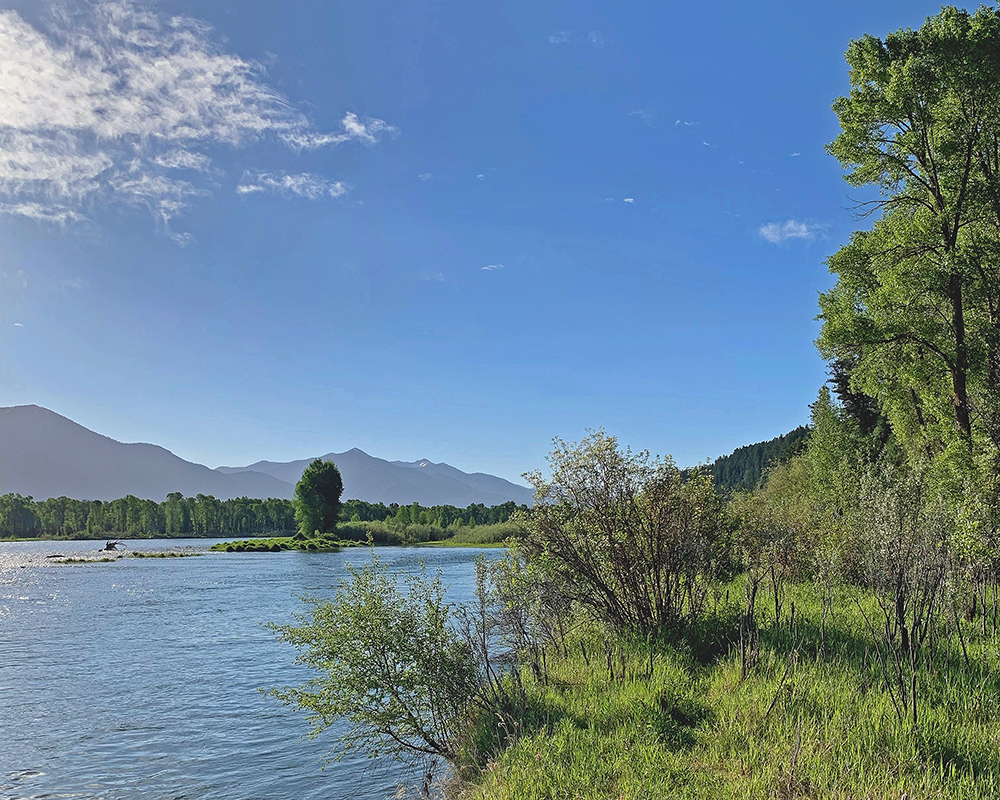 Looking up Snake River 