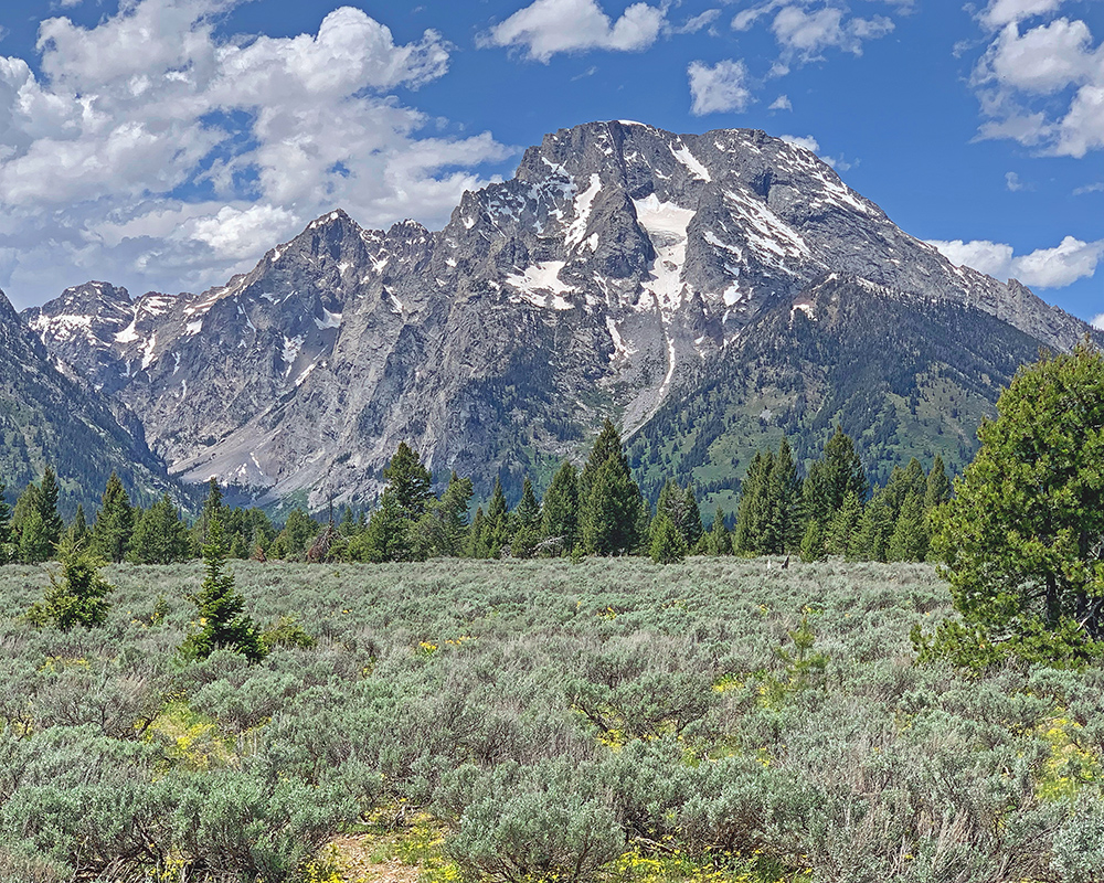 Mt Moran from Mountain View 