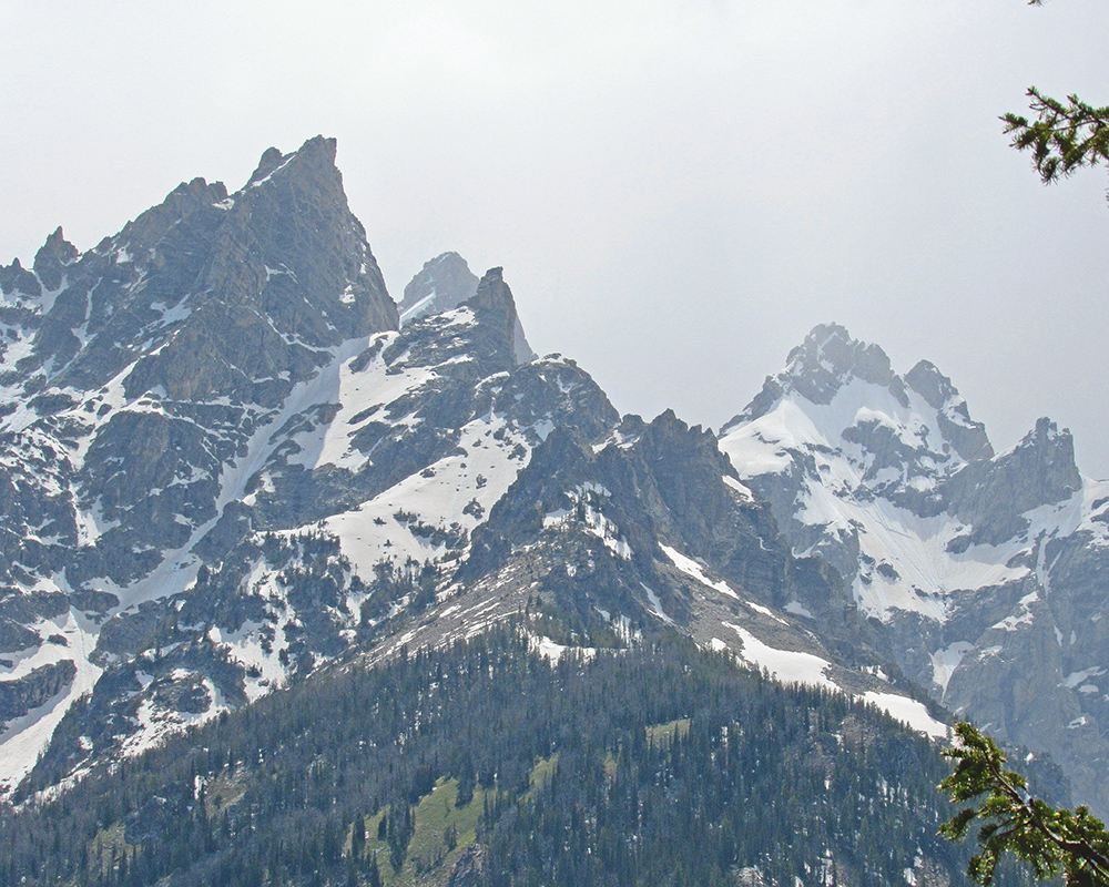 Rain up on the Mountain 