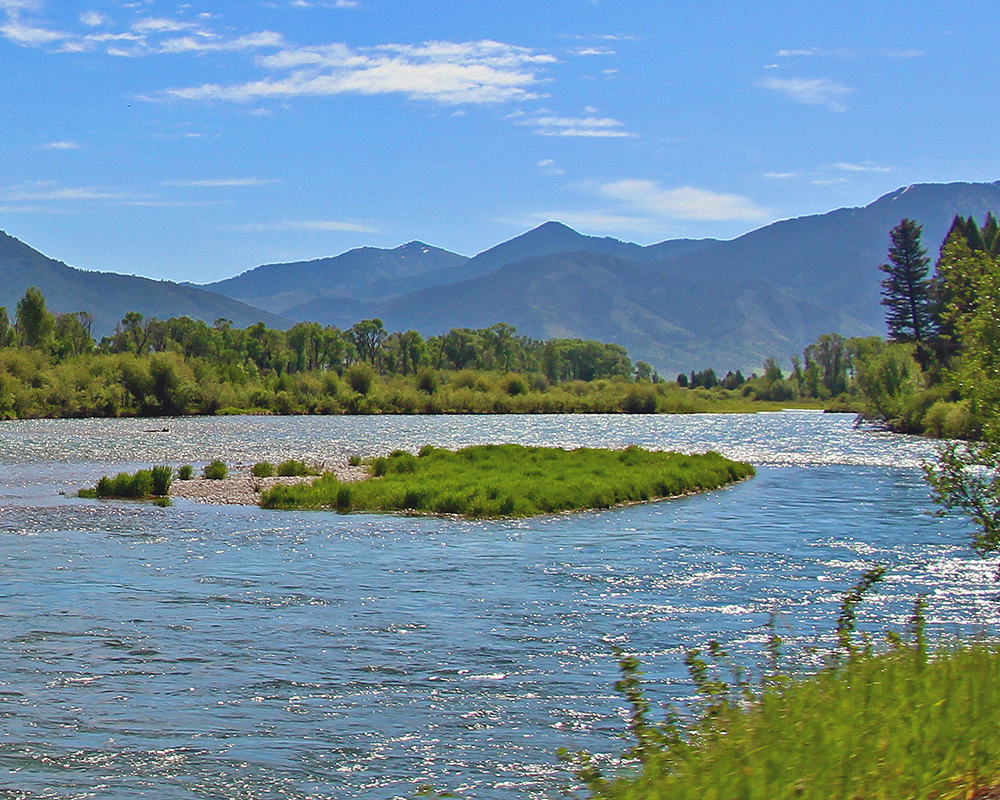 Snake River Swan Valley 