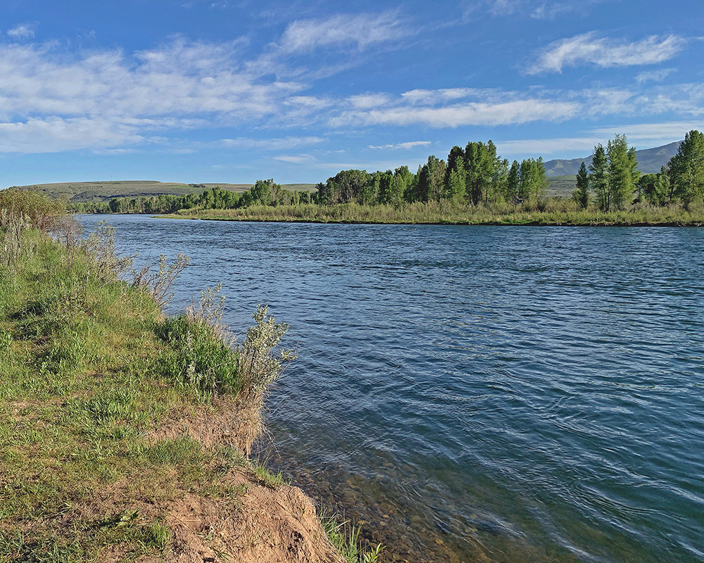 Snake River near Falls Campground 