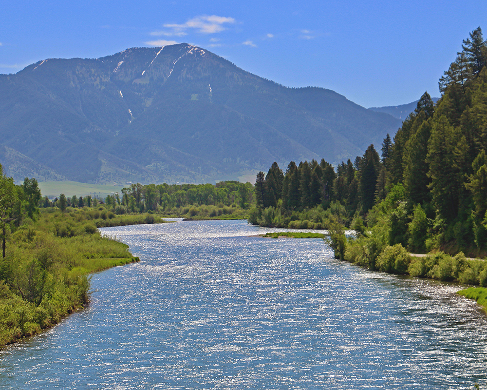 Sparkling Snake River 