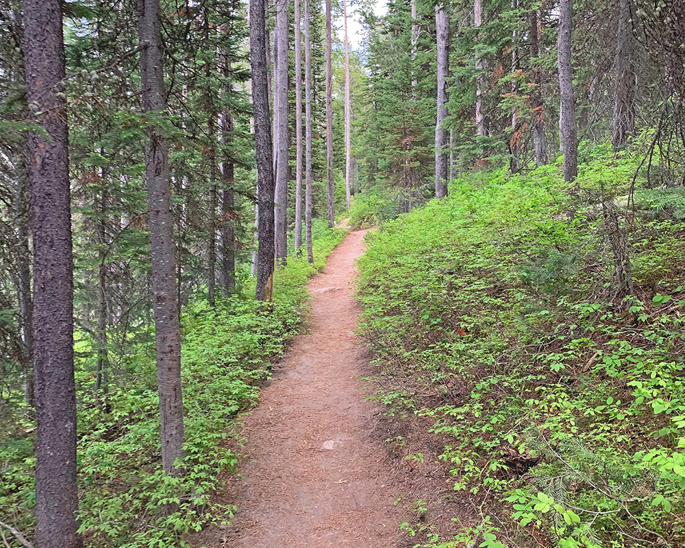 Start of Leigh Lake Trail 