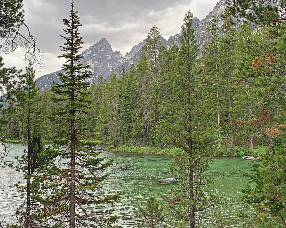 String Lake and Mountains 