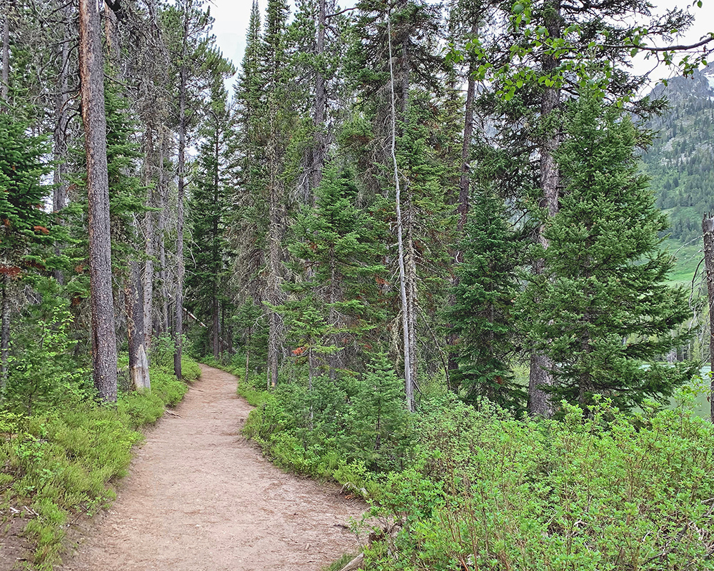 String Lake and Trail 