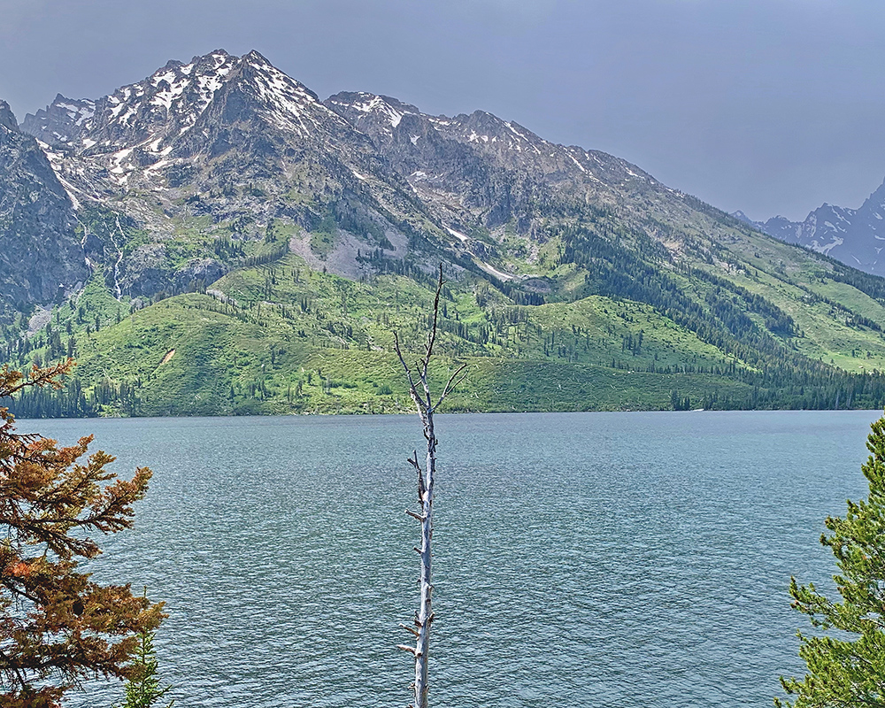 Sunlight on Jenny Lake 