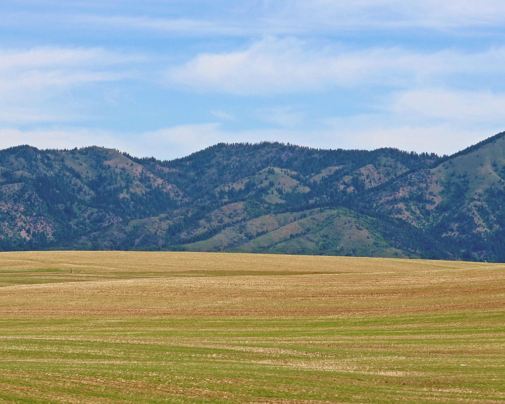 Swan Valley Highway 