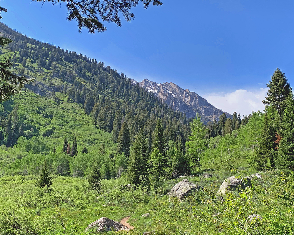 View near Moose Pond 