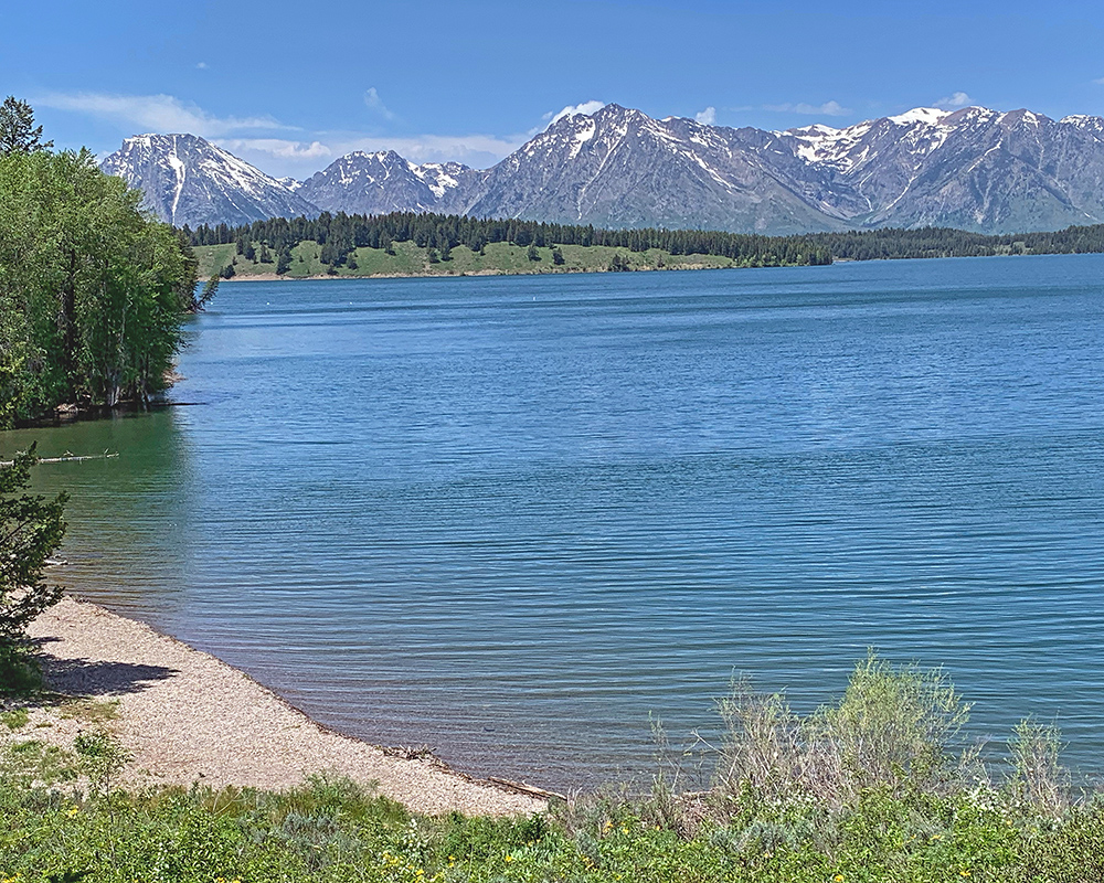 View of Jackson Lake from picnic 