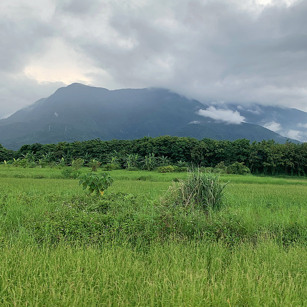 Taiwan in Summer of 2022