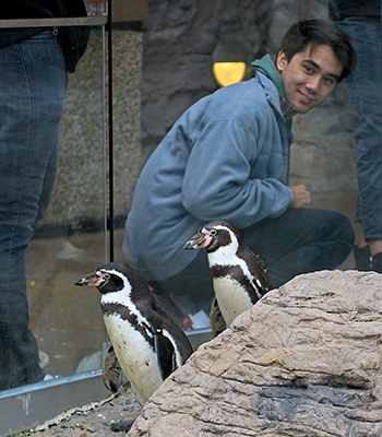 Arthur kneels down to see two cute Humboldt penguins