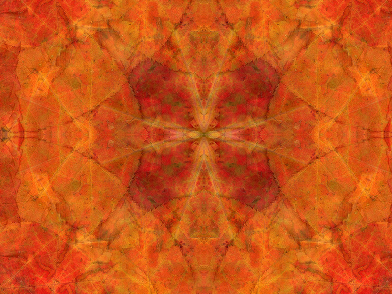 A pattern of orange, yellow, and red leaves