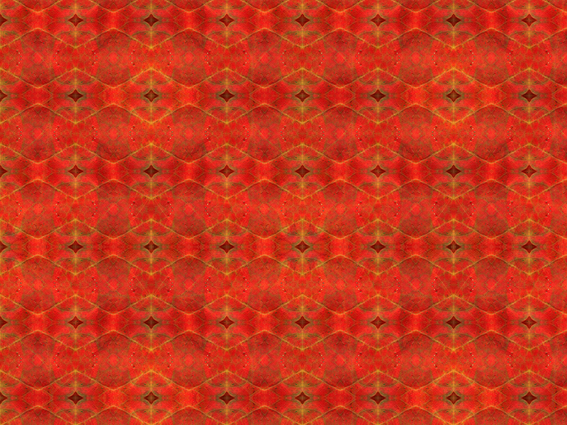 Many red colors in this pattern