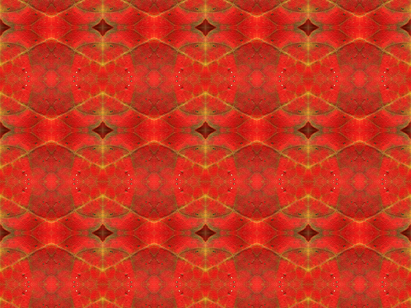 Many red colors in this pattern