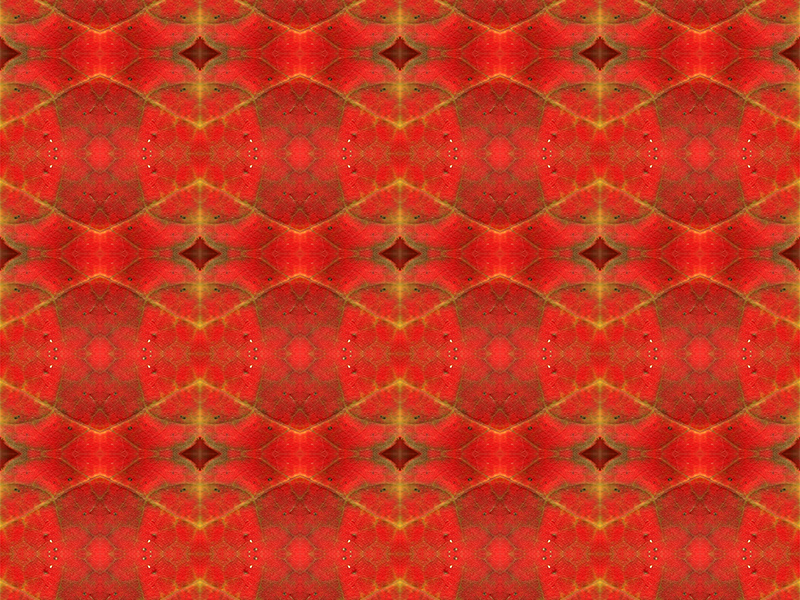Many red colors in this pattern