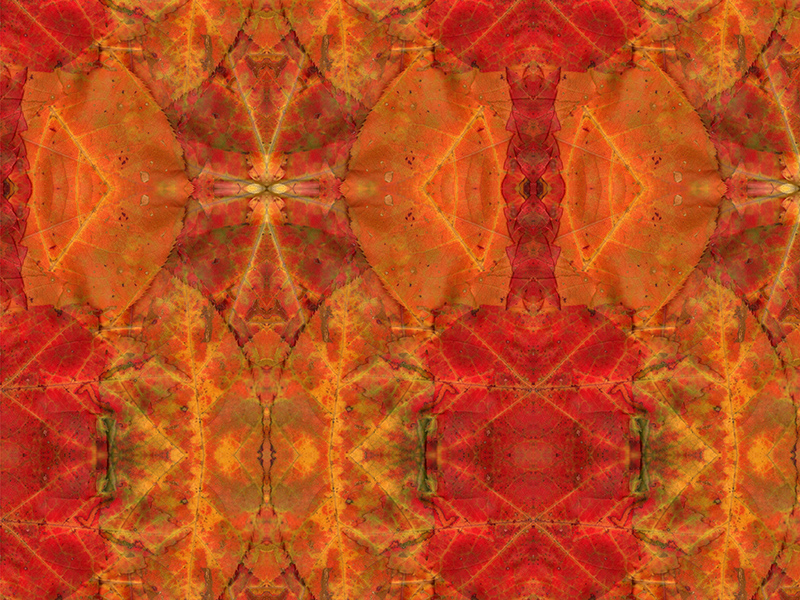 Many red colors in this pattern
