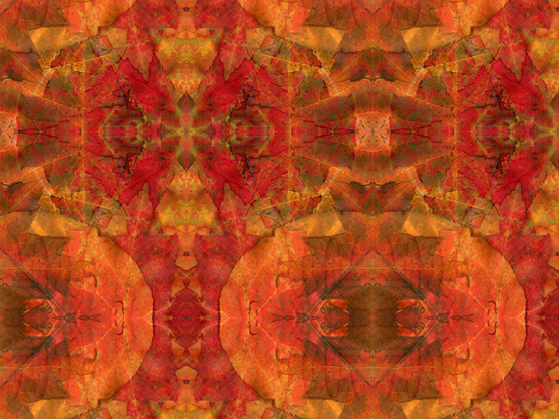 Many red colors in this pattern
