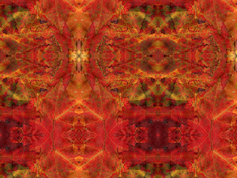 Many red colors in this pattern