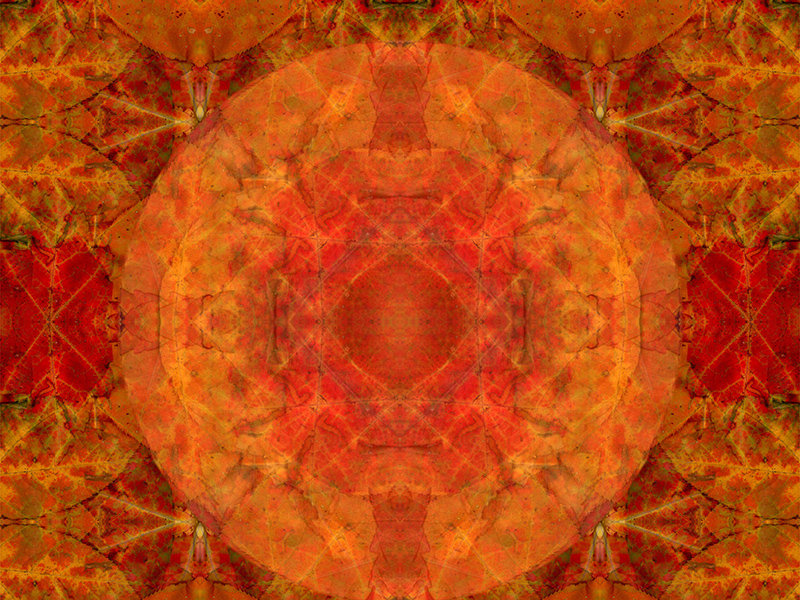 Many red colors in this pattern