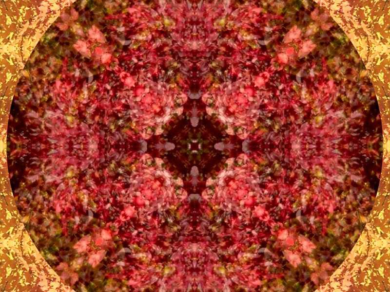Many red colors in this pattern