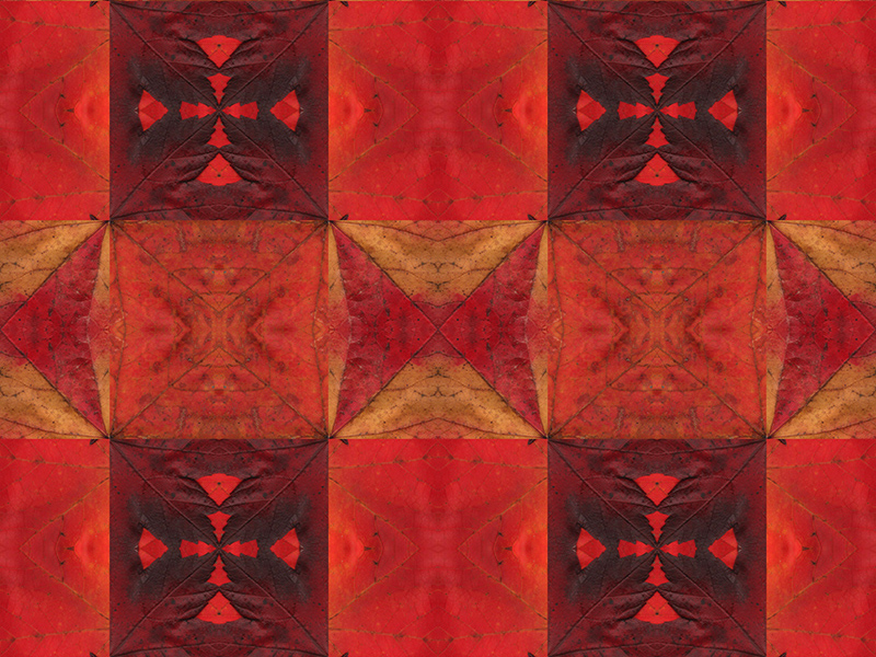 Many red colors in this pattern