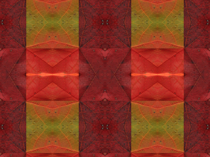 Many red colors in this pattern