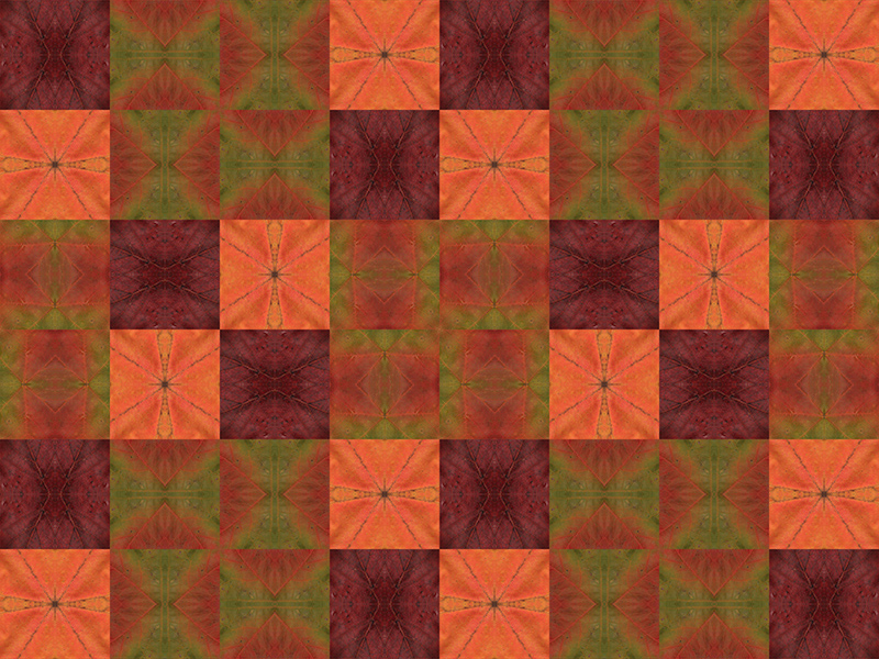 Many red colors in this pattern