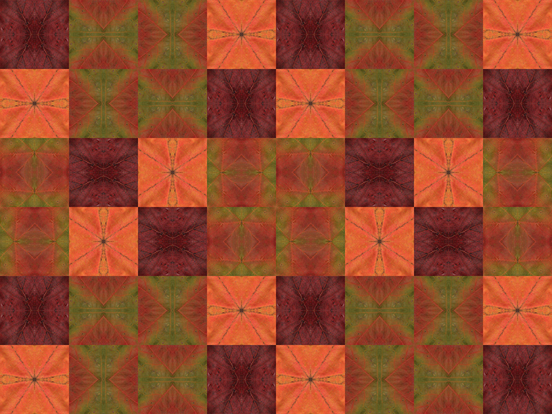 Many red colors in this pattern