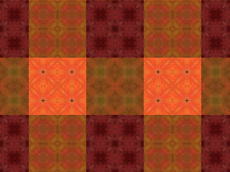 Many red colors in this pattern