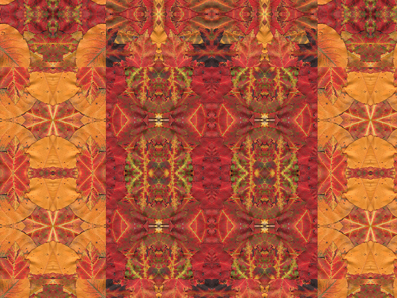 Many red colors in this pattern