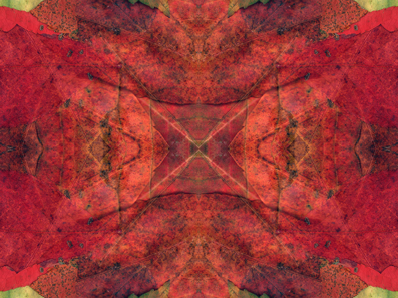 Many red colors in this pattern