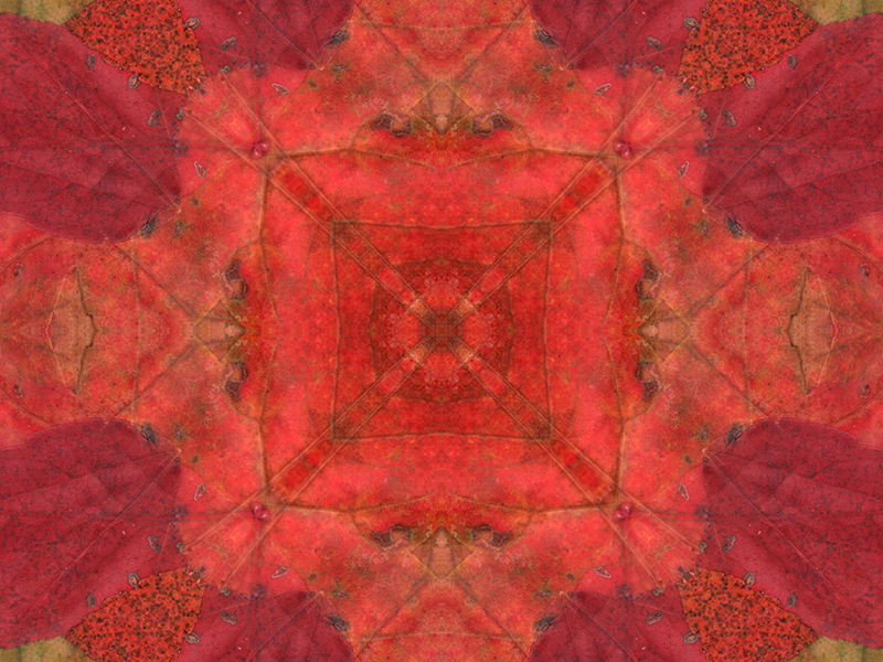 Many red colors in this pattern