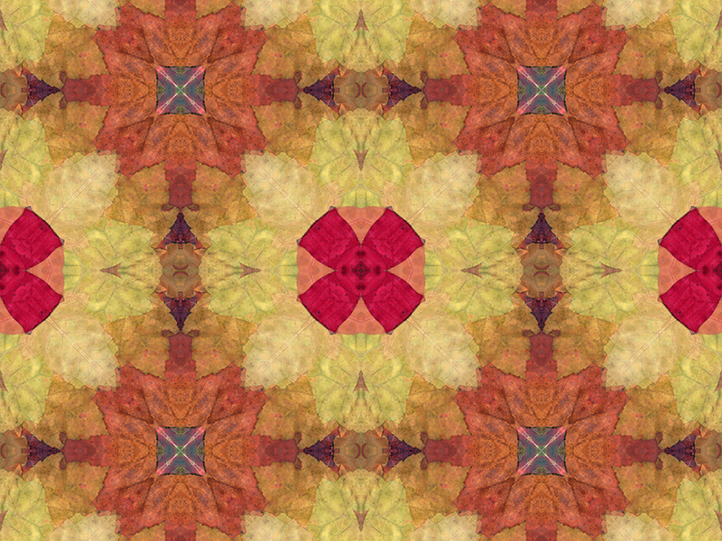Many red colors in this pattern