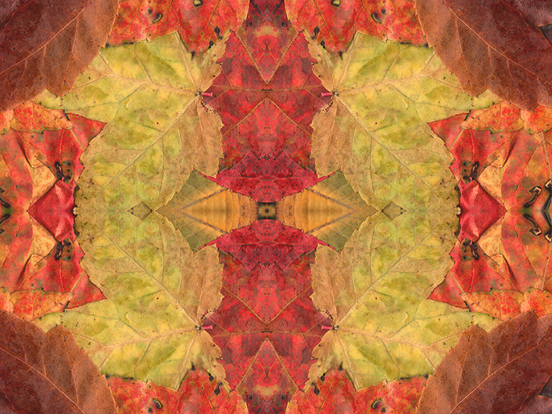 Many red colors in this pattern