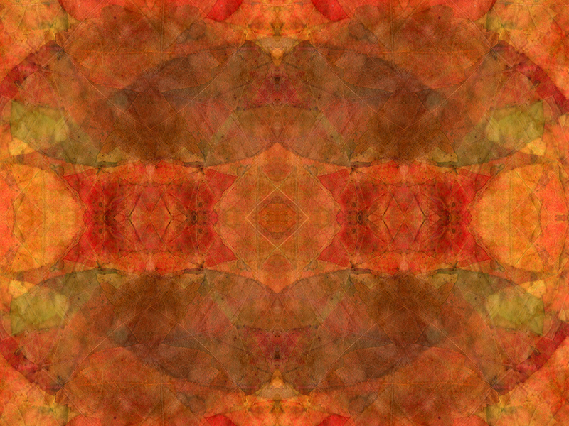 Many red colors in this pattern