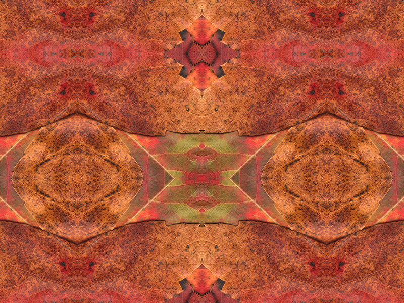 Many red colors in this pattern