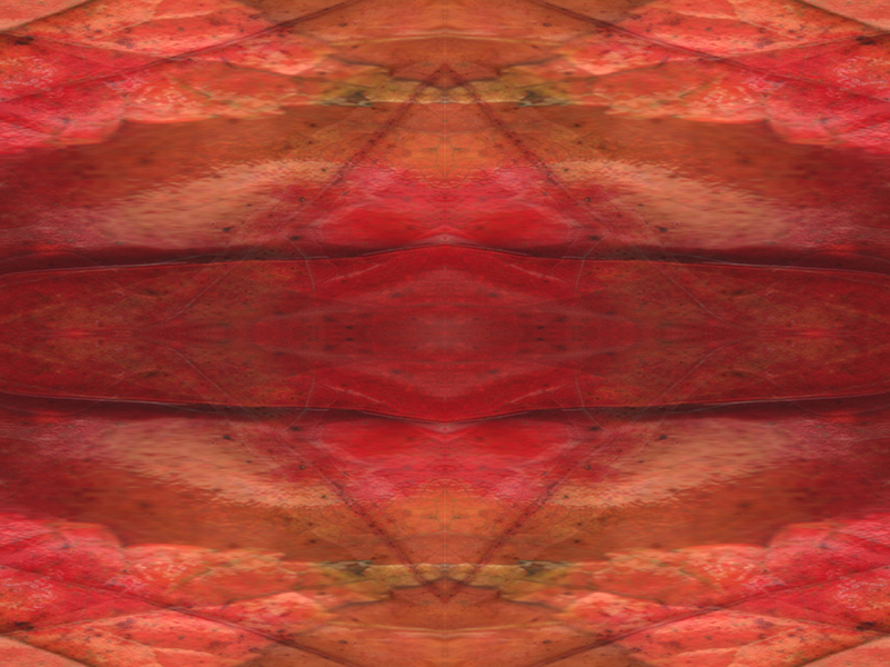 Many red colors in this pattern