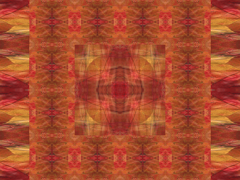 Many red colors in this pattern