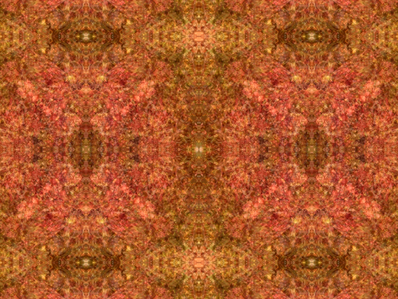 Many red colors in this pattern