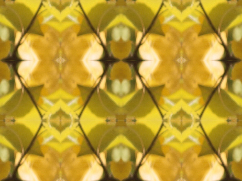 Many red colors in this pattern