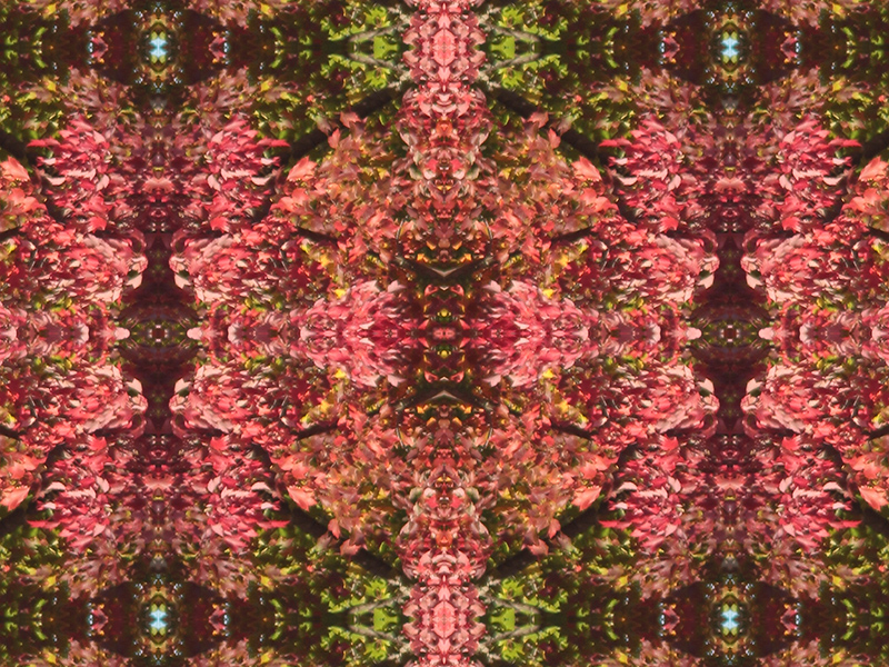 Many red colors in this pattern