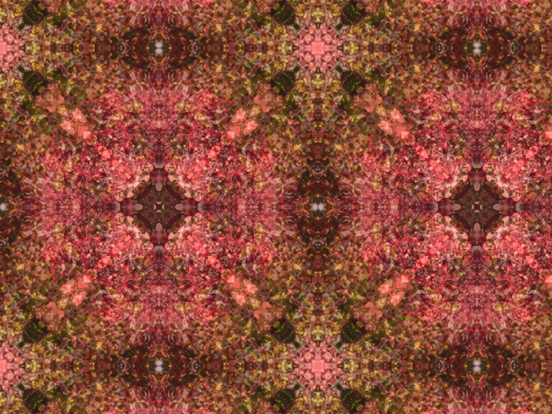 Many red colors in this pattern