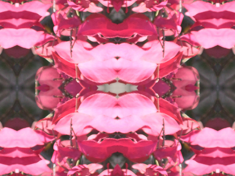 Many red colors in this pattern