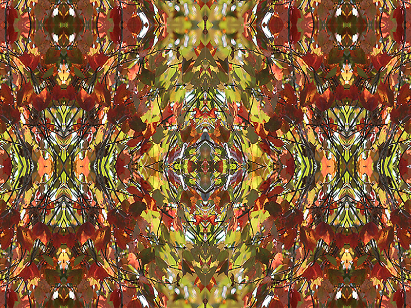 Many red colors in this pattern