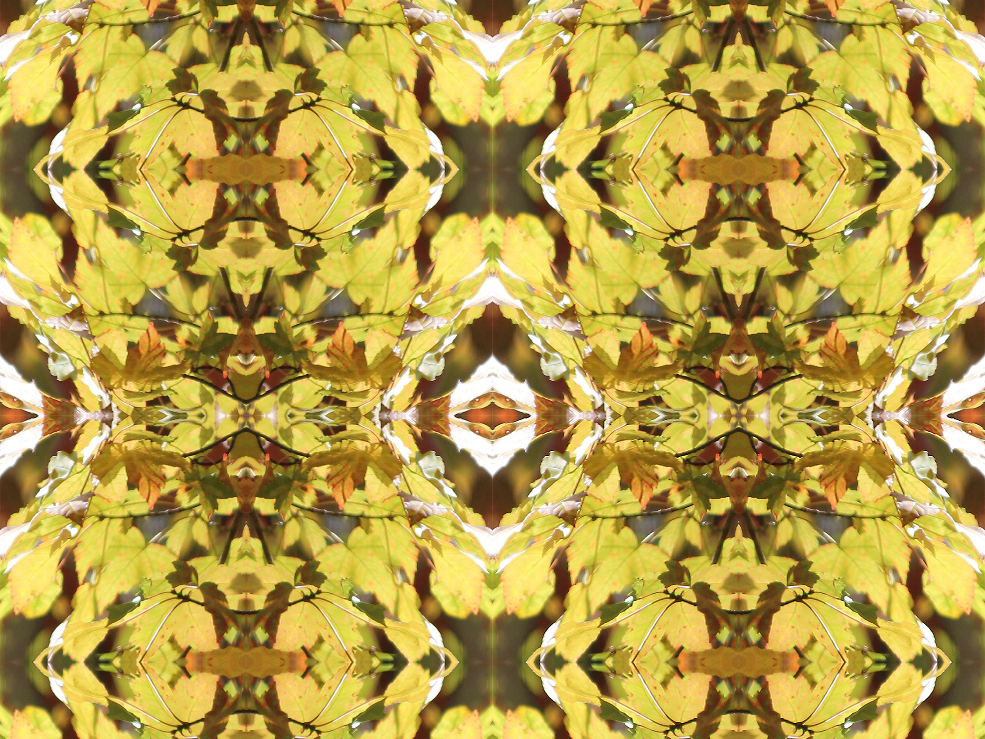 Many red colors in this pattern