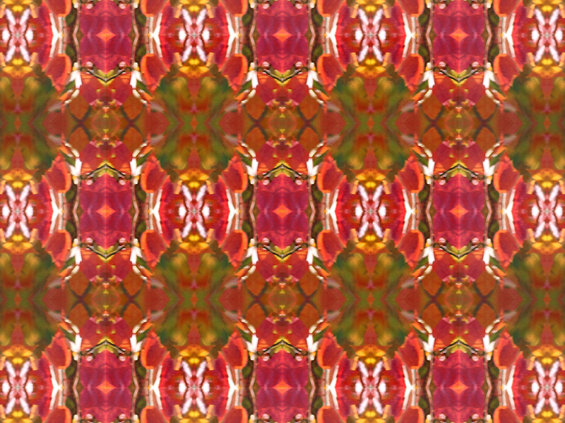 Many red colors in this pattern