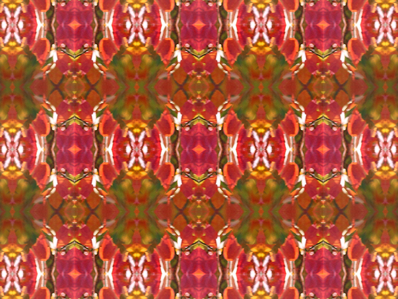 Many red colors in this pattern