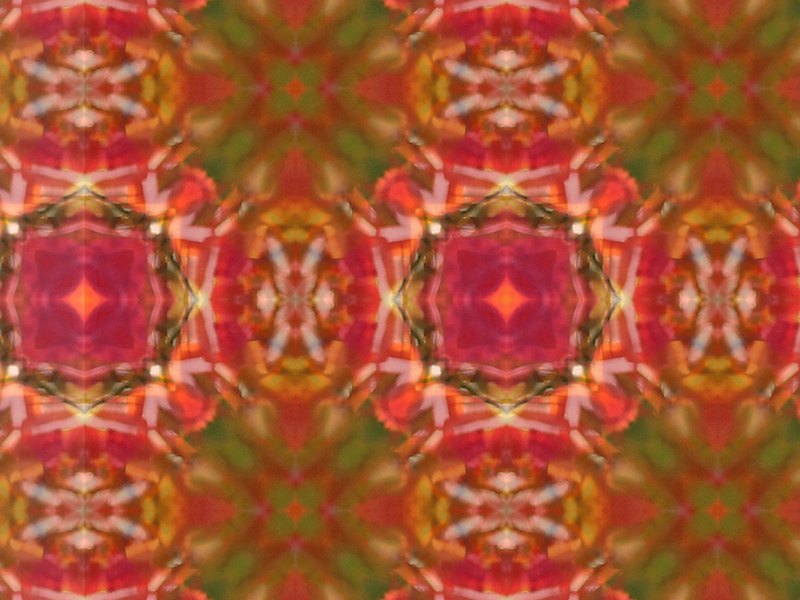 Many red colors in this pattern
